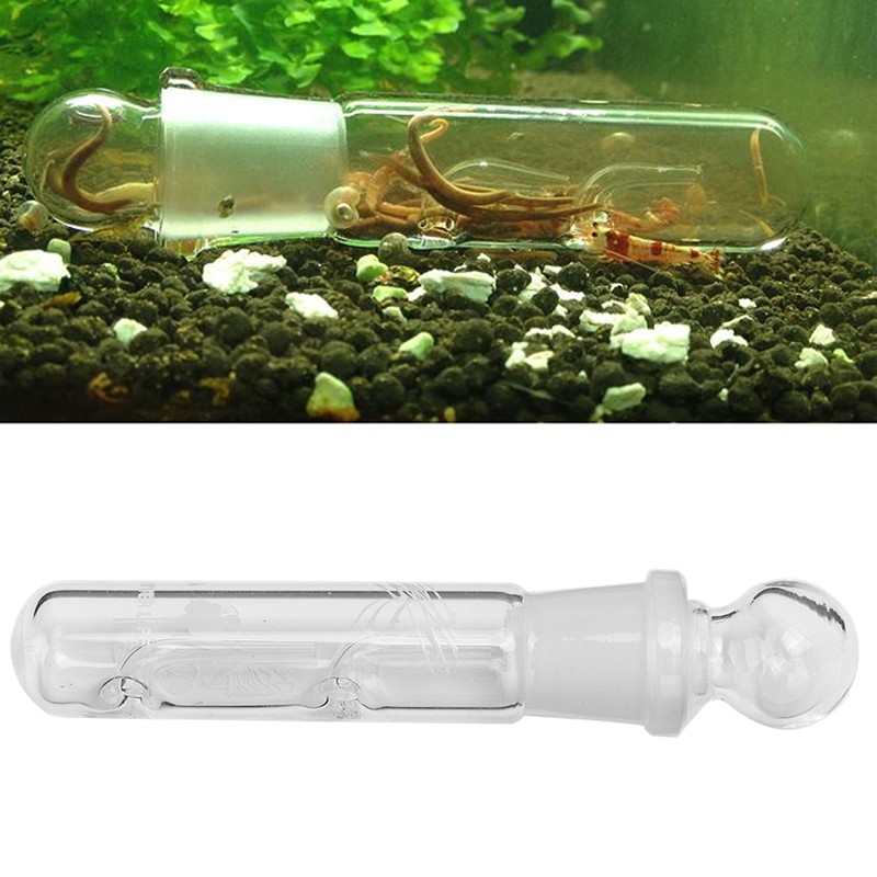 Fish Grass Tanks Glass Beautiful Planarian Catcher High Hardness Lasting