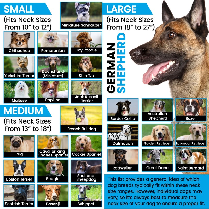 ECollar Replacement Strap - Compatible with Major Brands Including Petsafe,