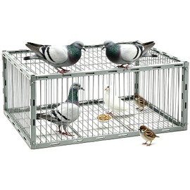 Bird Trap Upgraded Sparrow Trap, One-Way Entrance Escape-Proof Pigeon Trap, Easy to Install and Harmless Pigeon Cage, 27.55/15.74/10.23 inch