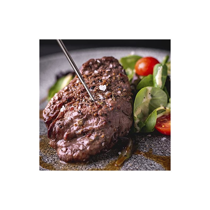DeltaTrak 11050 Termómetro digital profesional de carne para cocina impermeable