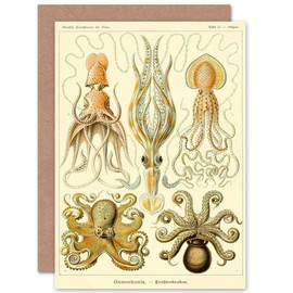 Wee Blue Coo NATURE ERNST HAECKEL OCTOPUS BIOLOGY GERMANY BLANK GREETINGS CARD