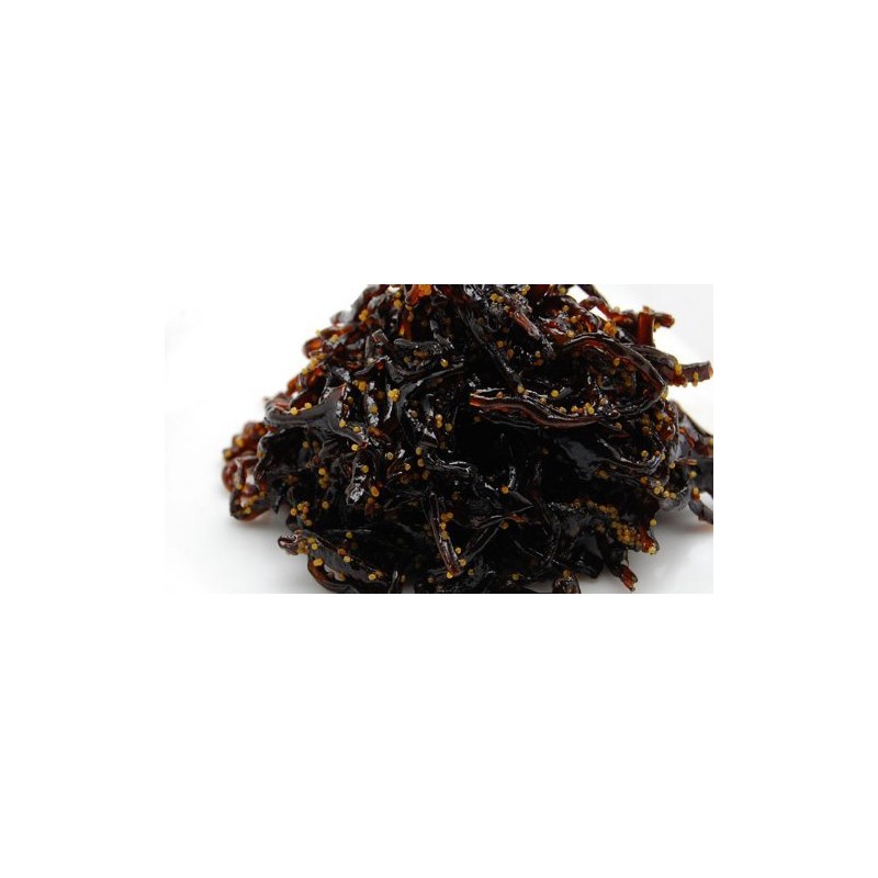 waso kotai jellyfish