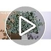 5 Tallos de Eucalipto Artificial, 60 cm Ramas Artificiales Decoracion,
