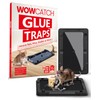 WowCatch Sticky Mouse Traps Indoor for Home - 16 Pack