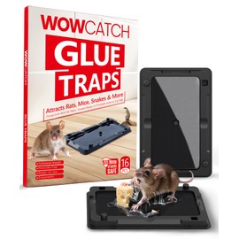 WowCatch Sticky Mouse Traps Indoor for Home - 16 Pack Glue Traps for Mice, Roaches, Rodent Catcher for Kitchen,Garage, Sticky Glue Boards for Insects, Pet Safe Pest Control, Non-Toxic, Small Size