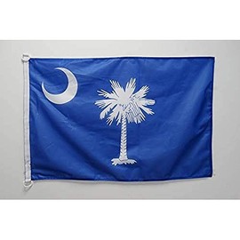 AZ FLAG - South Carolina Flag 90 x 60 cm - State of South Carolina Flag 60 x 90 cm Outdoor Use - Flags