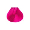 Kiss Tintation Semi-Permanent Hair Color 5 Ounce, T740 Rose Gold