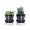 D'vine Dev 4 Inch Design Self Watering Planter for Indoor