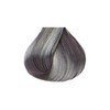 Kiss Tintation Semi-Permanent Hair Color Treatment 148 mL (5 US