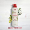 Old Spice Gentleman’s Blend with Tea Tree & Neem Oil,