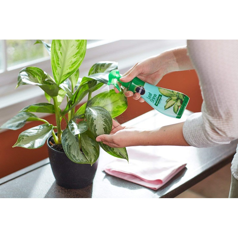 Scotts Leaf Shine, 8-Ounce (6 Pack)