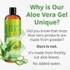 Seven Minerals - Gel de Aloe Vera - 99% Orgánico
