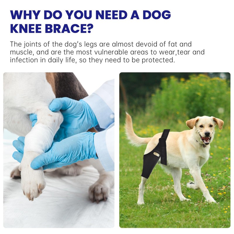 soundfuse Dog Knee Brace, Upgraded Leg Brace for ACL with