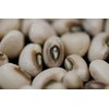 Pea Blackeye Great Heirloom Vegetable by Seed Kingdom BULK 1 Lb Seeds