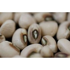 Pea Blackeye Great Heirloom Vegetable by Seed Kingdom BULK 1 Lb Seeds