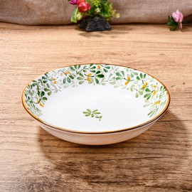 BOSILI Ceramic Cat Food Plate set of 2 Porcelain Cat Food Dish for Wet Food Wide Bowl to Relieve Whisker Fatigue, Shallow Bowl for Kittens and Small Animals