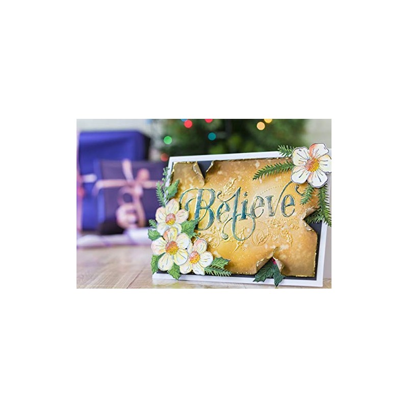 Gemini Believe 3D Embossing Folder, 5 x 7-Inch