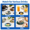 FUYAHA 6PCS Meme Funny Cat Coasters Absorbent Coaster for Desk