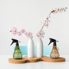 wugongshan 2 Pcs Spray Bottles, 500 ml/17 oz Empty Water