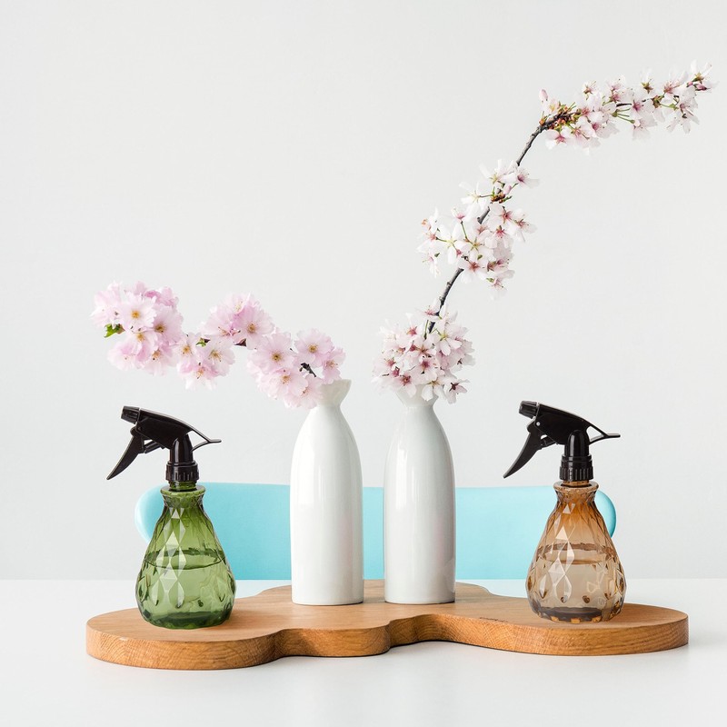 wugongshan 2 Pcs Spray Bottles, 500 ml/17 oz Empty Water