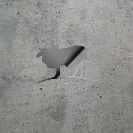 Decal Stickers of Farm Cattle Brahman Bull (Metallic Silver) (Set of 2) Premium Waterproof Vinyl Decal Stickers for Laptop Phone Accessory Helmet Car Window Mug Tuber Cup - BICVER1504422SIW19Y24