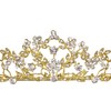 SAMKY Flower Leaf Crystal Pageant Bridal Tiara Crown - Clear