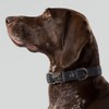 HUGO & HUDSON x HACKETT Tweed Dog Collar with Adjustable