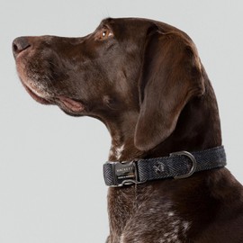HUGO & HUDSON x HACKETT Tweed Dog Collar with Adjustable Metal Buckle, Grey Checked Herringbone XS