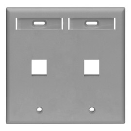 Leviton 42080-2GP 2-Port Dual Gang QuickPort Wallplate with ID Windows, Grey