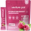 Venture Pal Sugar Free Electrolyte Powder Packets - Liquid Daily