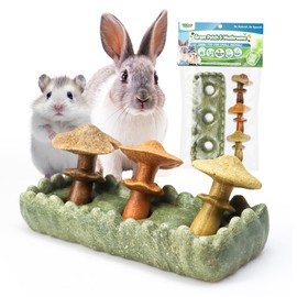 4PCs Edible Small Animal Toys, Hamster Guinea Pig Gerbil Chews for Teeth, Rabbit Enrichment Rodent Pet Nibble, Mushroom & Grass Patch Natural Boredom Breaker for Cage