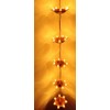 Heritage Kosh A Pair of Hanging Illuminating 5 Diyas with