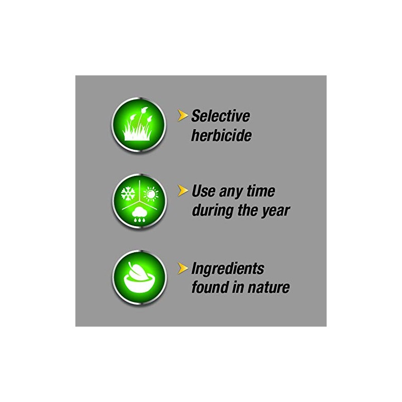 Pulverize Weed and Grass Killer, All Natural, Fast Acting, Non-Staining,