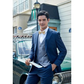 HISDERN Bow Tie Pre-Tied Men's Bow Tie with Pocket Square Set Plain Bow Tie Suit for Tuxedo Wedding, A2-beige