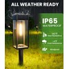 BITPOTT Bright Solar Pathway Lights Outdoor Waterproof IP65, 4 Pack