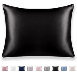 Texbee Silk Pillow Cases Both Sides Natural Mulberry Silk Pillowcase with Hidden Zipper Soft Breathable Smooth Anti Acne Pillow Case Standard Size(20"x26",Black)