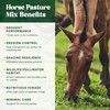 Nature's Seed Northern Horse Forage Mix, Equine Pasture Grass Seed