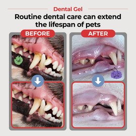 JAYU PET Dental Gel - Dog Cat Toothpaste, Removing Plaque and Tartar, Teeth Cleaning & Breath Freshener, Puppy Kitten Dental Care with Vet Approved (2.82oz. 80g)