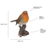 Vivid Arts British Birds Robin Size F