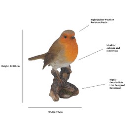 Vivid Arts British Birds Robin Size F