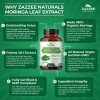 Extracto de Moringa Orgánica Zazzee 20:1, 20.000 mg Fuerza, 180