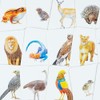 Laurence King Animal Family Match: A Matching Memory Game