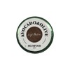 Skinfood Avocado & Olive Lip Balm 12g / 스킨푸드 아보카도 앤 올리브 립밤12g