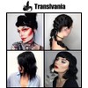 Arctic Fox Translvania Arctic Fox Transylvania 4oz