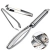 Fundament Fish Scaler 304 Stainless Steel Fish Scale Remover Kitchen