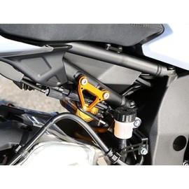 BABY FACE Racing Hook Gold MT-10 005-FY007GD