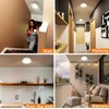 TOOWELL Motion Sensor Ceiling Light Battery Operated Indoor/Outdoor LED Ceiling