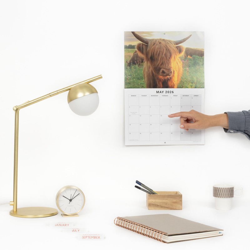 evelay 2026 A4 Highland Cow Calendar Month to View A3