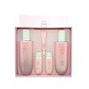 The Face Shop Yehwadam Plum Blossom Vitality 2-Piece Set / 더페이스샵 예화담 물어린 매화 생기2종세트