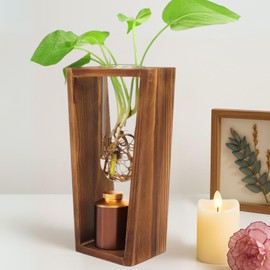 ChoiHeiy Plant Urn with Hydroponics Glass Vase, Small Urns for Human Ashes Keepsake, Memorial Keepsake Urn for Human Ashes, Mini Urns Small Urn for Ashes, Wooden Desk Decor